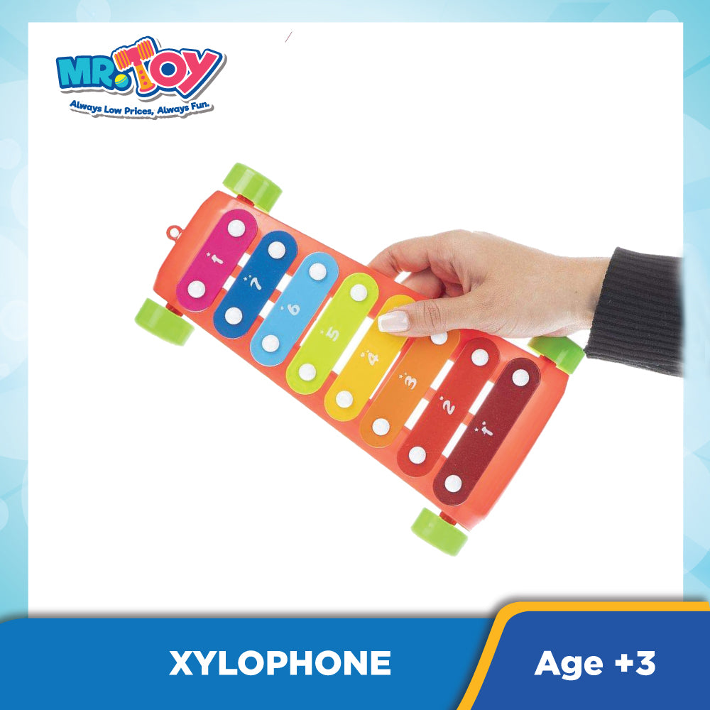 DIY) FUNFUN Classic XyloPhone Music Toy – ECOMMERCE