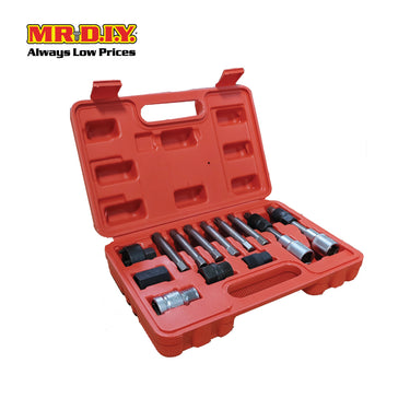 FIXMAN Alternator Pulley Kit (13 pieces)