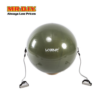 LIVEUP Sports Exercise Gym Ball With Expander - Grey (65cm) LS3227