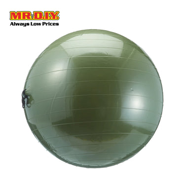 LIVEUP Sports Exercise Gym Ball With Expander - Grey (65cm) LS3227