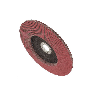 EMTOP Flap Disc EFDS1001