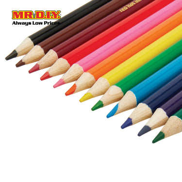 LITTLE TREE Color Pencil Set (12 pcs)