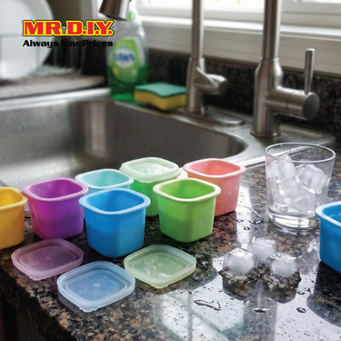 MR.DIY Ice Mold (6pcs)