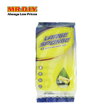CARSUN Wash Sponge 20x15cm