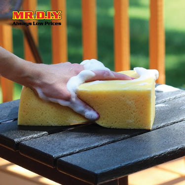 CARSUN Wash Sponge 20x15cm