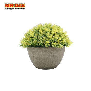Decoration Plant with Pot