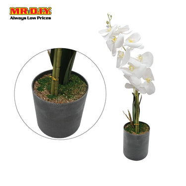 Artificial Plant with Pot