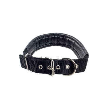 JIN XIN Pet Collar 3cm