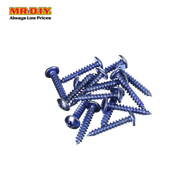 (MR.DIY) Screw G602 (15 pcs)