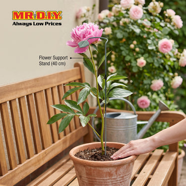 (MR.DIY) Flower Support Stand (40 cm)