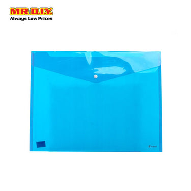 Transparent Document Bag