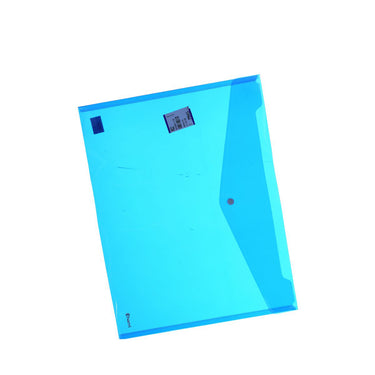 Transparent Document Bag