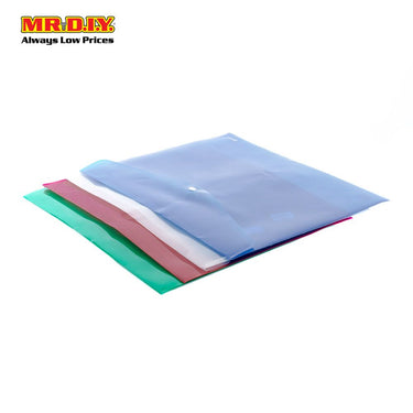 Transparent Document Bag